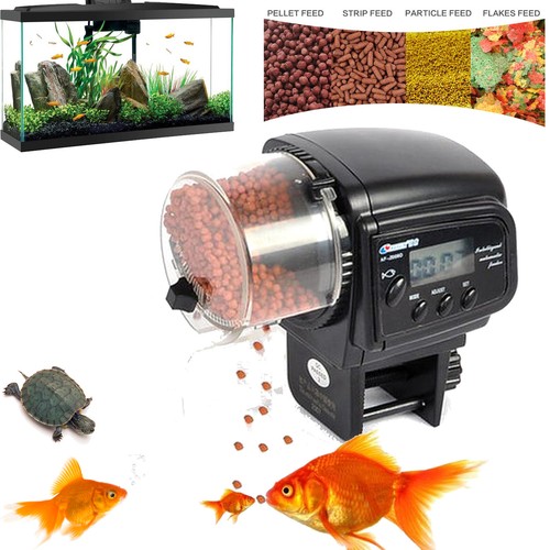 Automatic fish feeder - automatic,